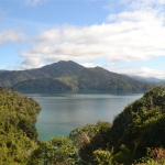 Kenepuru Sound