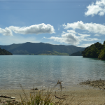 Camping Nivau Cove - Kenepuru Sound