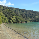 Camping Nivau Cove - Kenepuru Sound