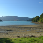 Camping Nivau Cove - Kenepuru Sound