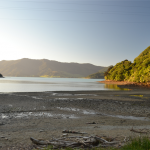 Camping Nivau Cove - Kenepuru Sound