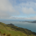 Road to French Pass