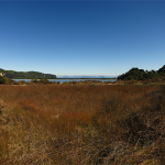 Wainui Bay