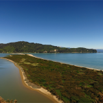 Wainui Bay