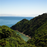 Abel Tasman Track