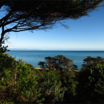 Abel Tasman Track