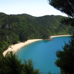 Abel Tasman Track