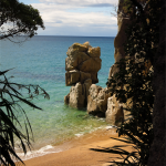 Abel Tasman Track