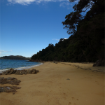 Abel Tasman Track