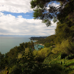 Abel Tasman Track