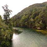 Abel Tasman Track