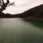 Abel Tasman Track