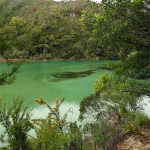 Abel Tasman Track